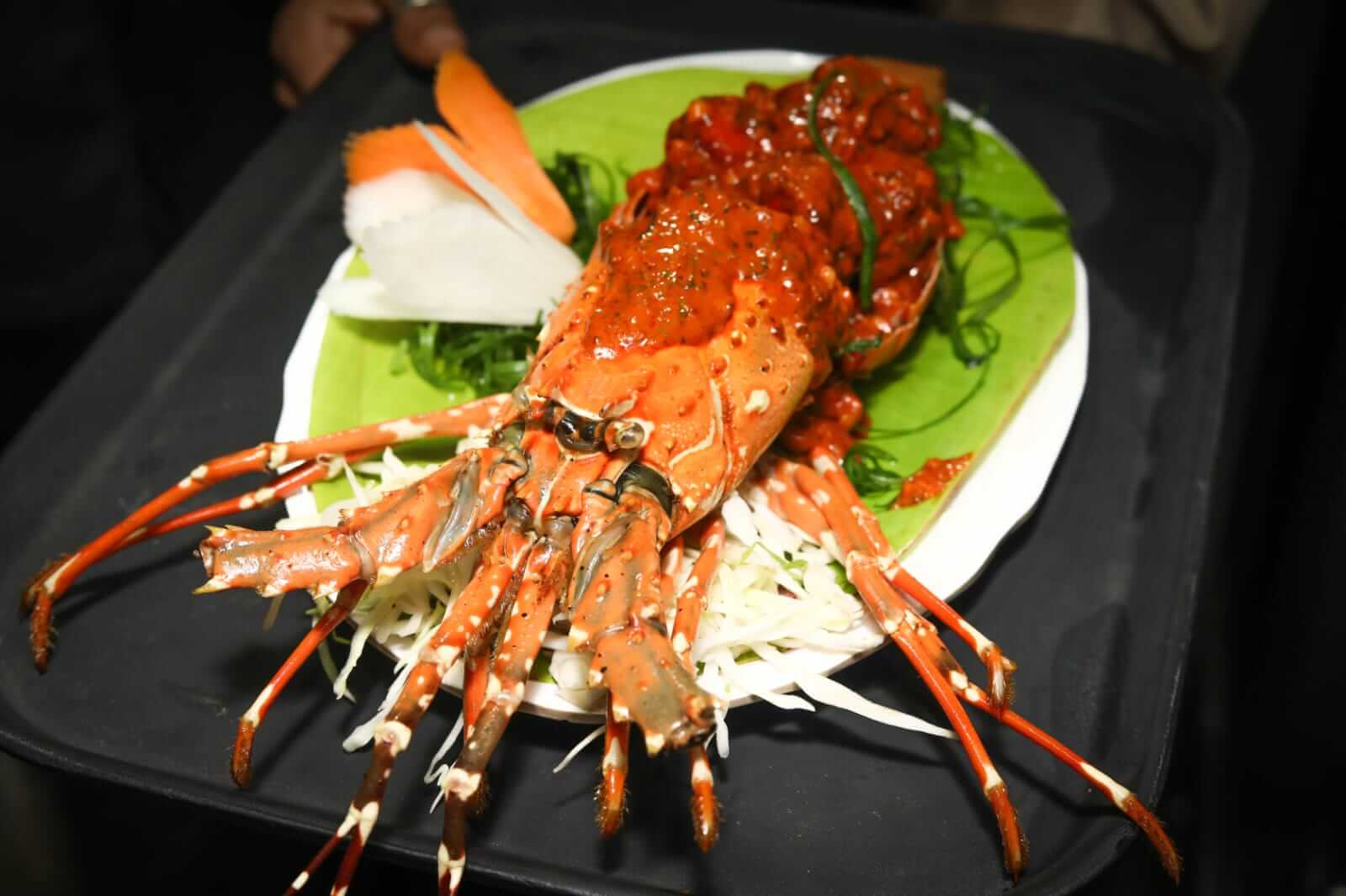 Lobster